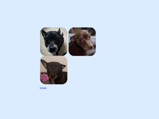 main/CoolStuff/pets/funnidoggos screenshot