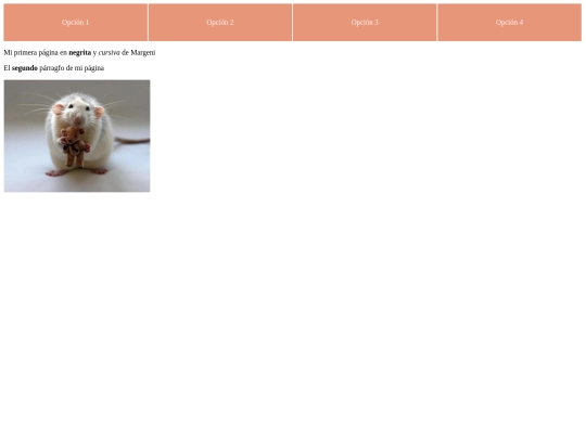 Modulo2/paginaModulo2 screenshot