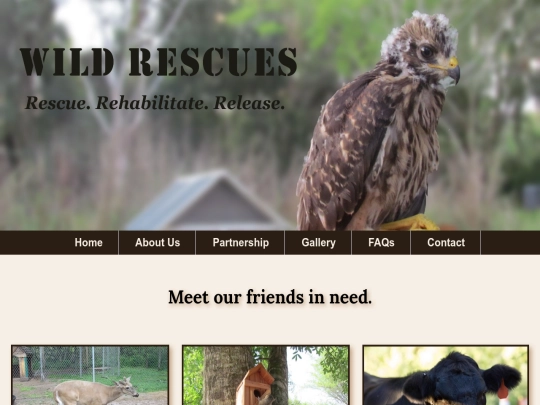 gallery screenshot