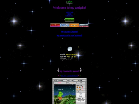 page screenshot