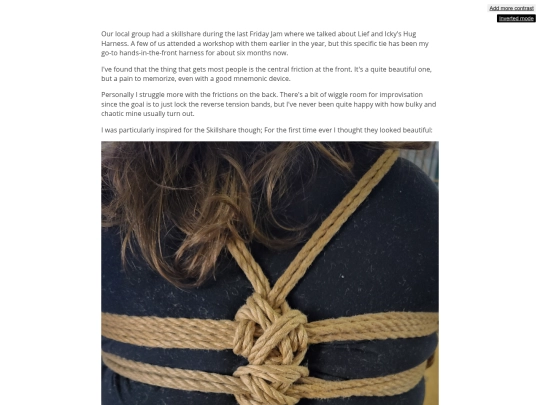 posts/2025-02-09-mini-rope-journal screenshot