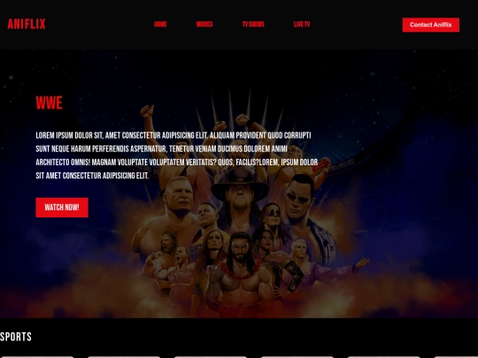 Netflix Clone (2)(1)/Netflix Clone/Frontend/Live TV/LiveTv screenshot