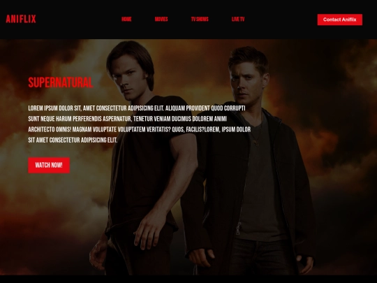 Netflix Clone (2)(1)/Netflix Clone/Frontend/TV Shows/TvShows screenshot