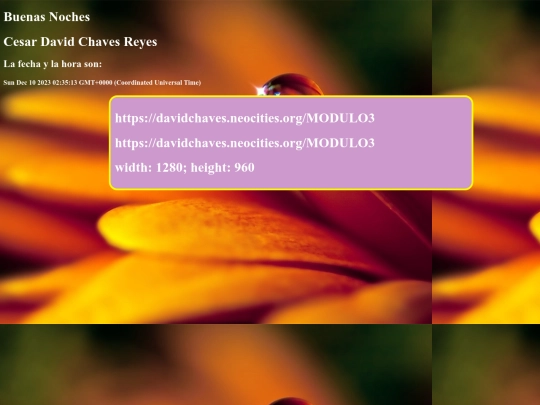 MODULO3 screenshot