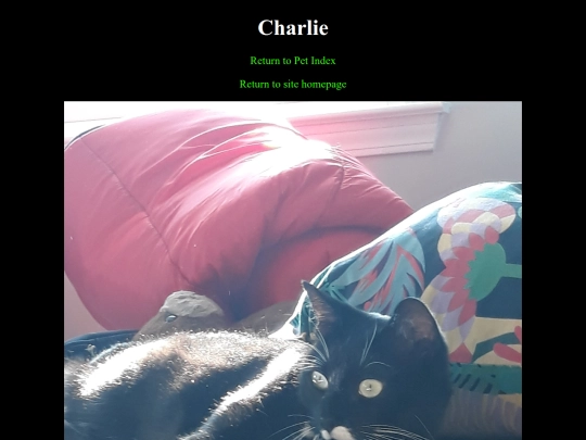 pets/charlie screenshot