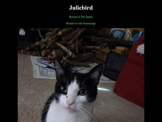 pets/juliebird screenshot