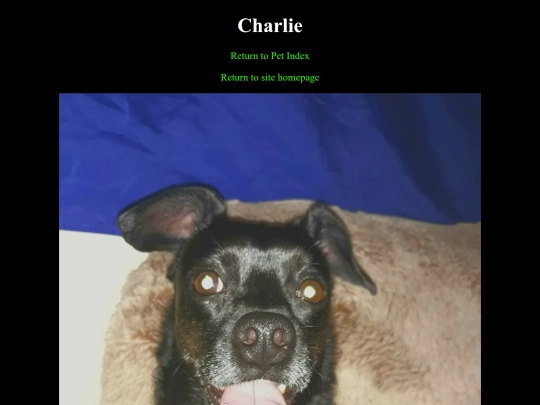 pets/widget screenshot