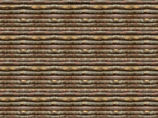 backyard screenshot