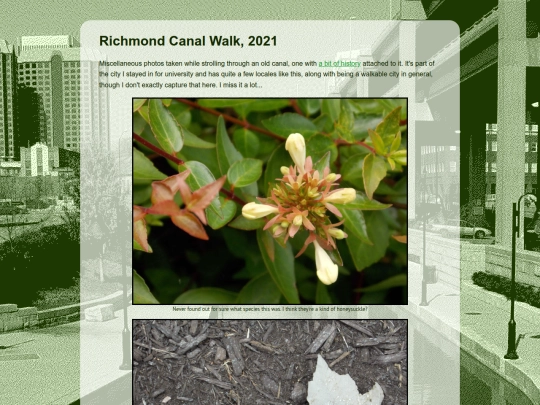 library/RVA2021 screenshot