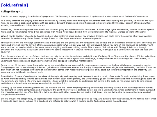 collegeessay screenshot