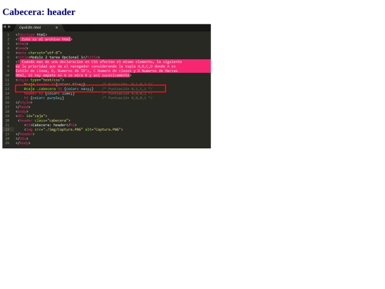 Opcional/Opc0201 screenshot