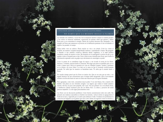 flores screenshot
