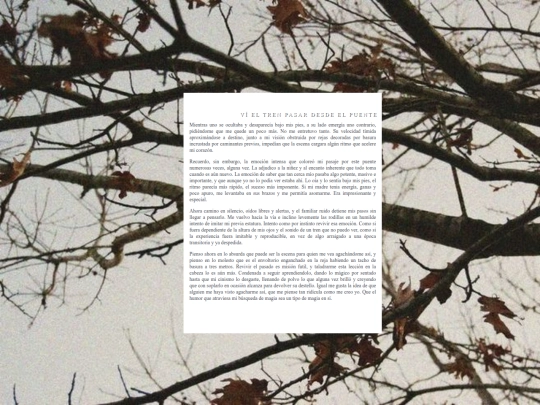 puente screenshot