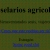 cenex.neocities.org avatar