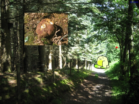 places/4 screenshot