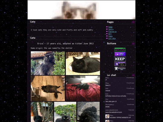cats screenshot