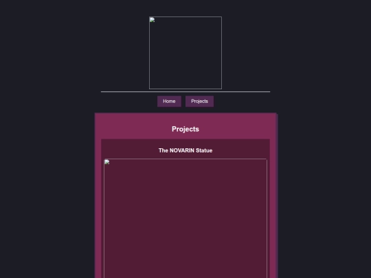 projects screenshot
