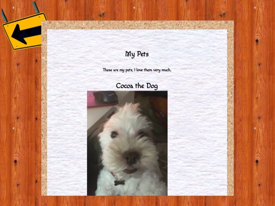 petspage screenshot