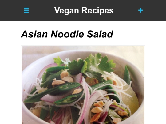 asian-noodle-salad screenshot