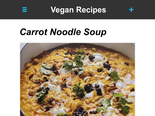 carrot-noodle-soup screenshot