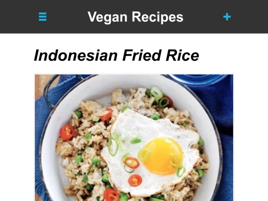 indo-fried-rice screenshot