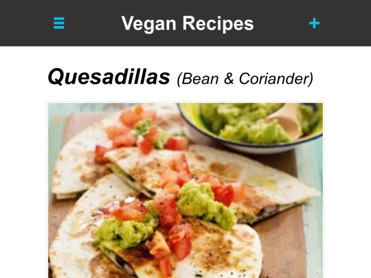 quesadillas-vegan screenshot