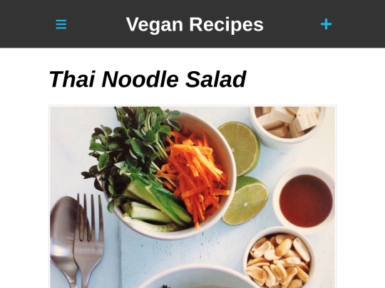thai-noodle-salad screenshot