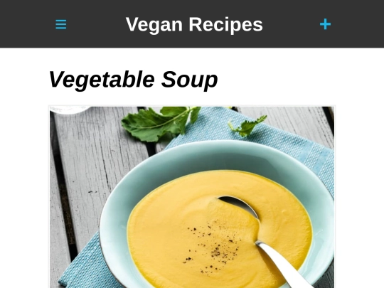 veg-soup-thermo screenshot