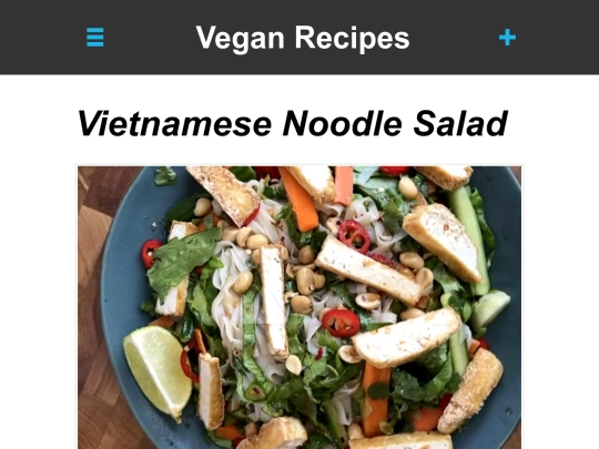 viet-noodle-salad screenshot