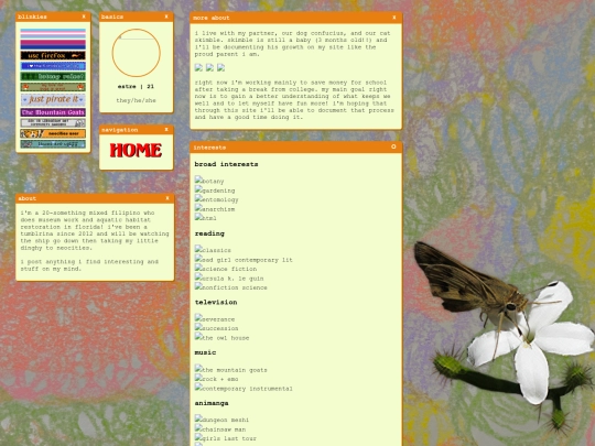 archives/aboutarchive1 screenshot