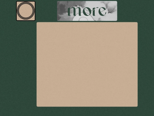 more screenshot