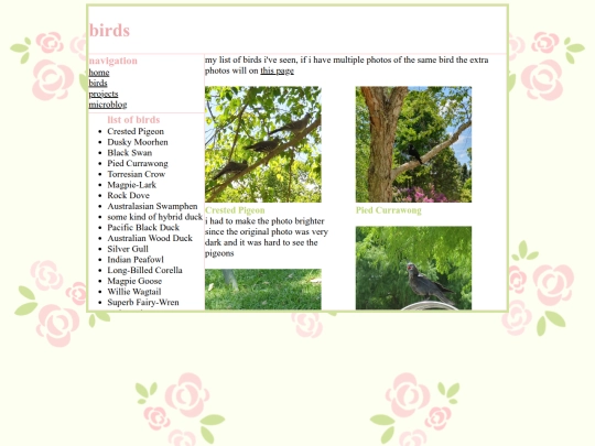birds screenshot