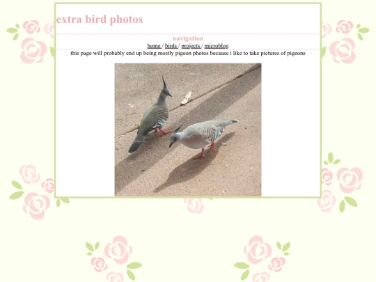 extrabirds screenshot