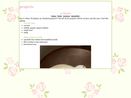 projects screenshot