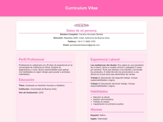 cv/cv screenshot
