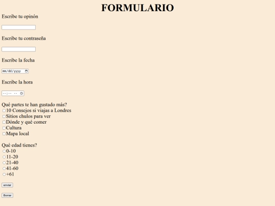 formulario screenshot