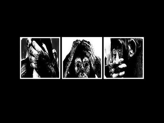 3wisemonkeys screenshot