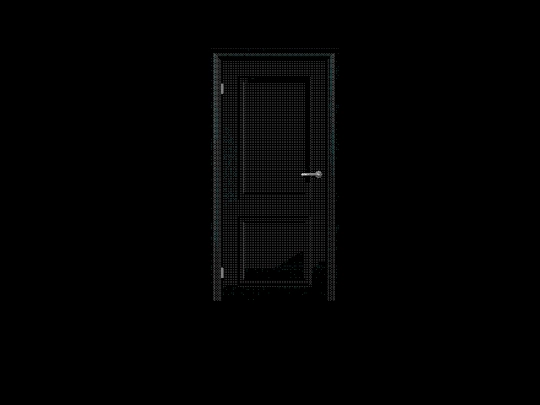 dooralone screenshot