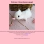 The web site of bonsybun avatar