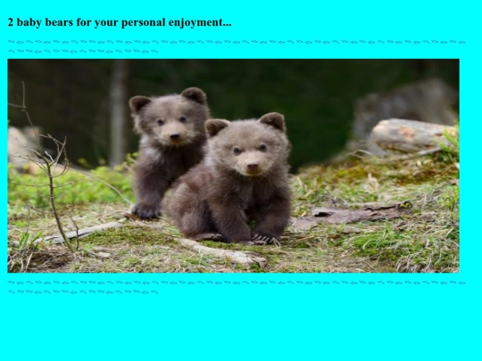 2babybears screenshot