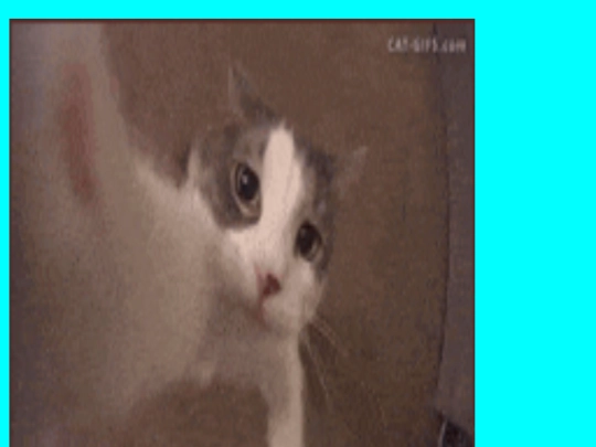 catkiss screenshot
