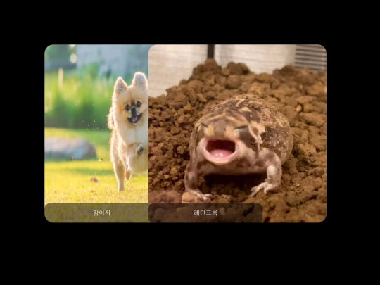 pet screenshot