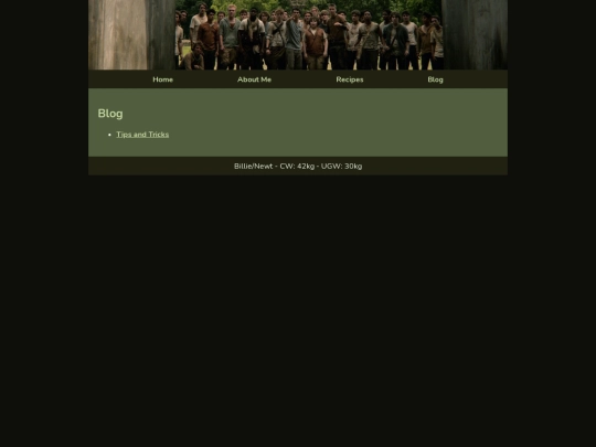 blog screenshot