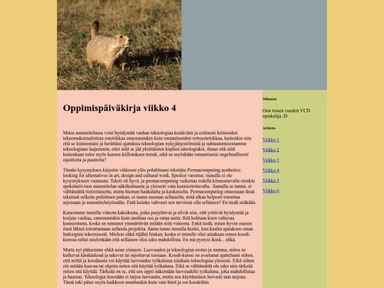 oppimispaivakirja/viikko4 screenshot