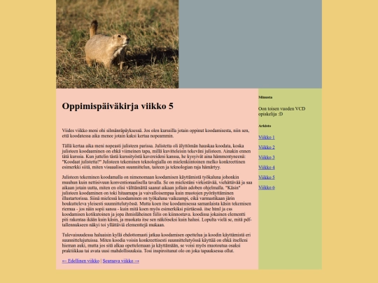 oppimispaivakirja/viikko5 screenshot