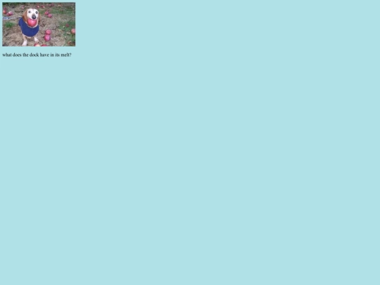 puzzle/level1 screenshot