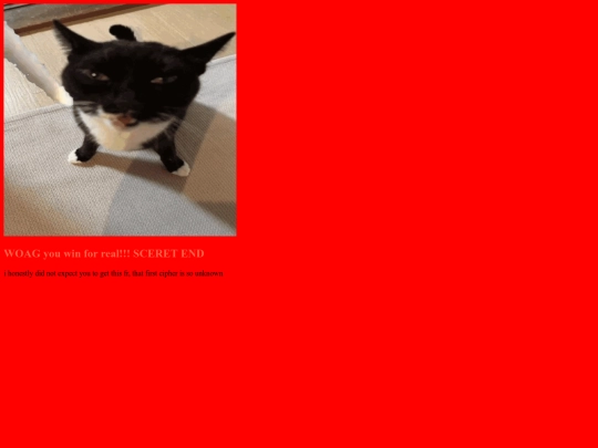 puzzle/notsurprisedyouwouldgetthis screenshot