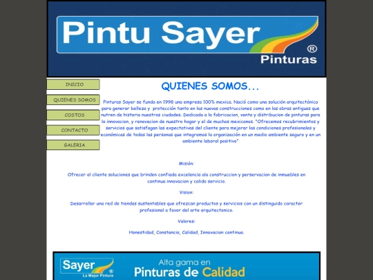 PAGINAS/quienessomos screenshot