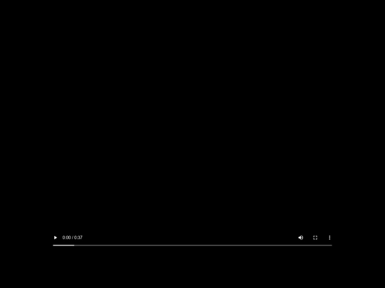 secret/car screenshot