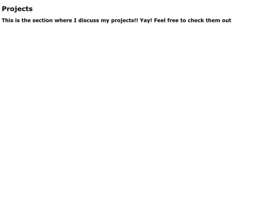 projects screenshot